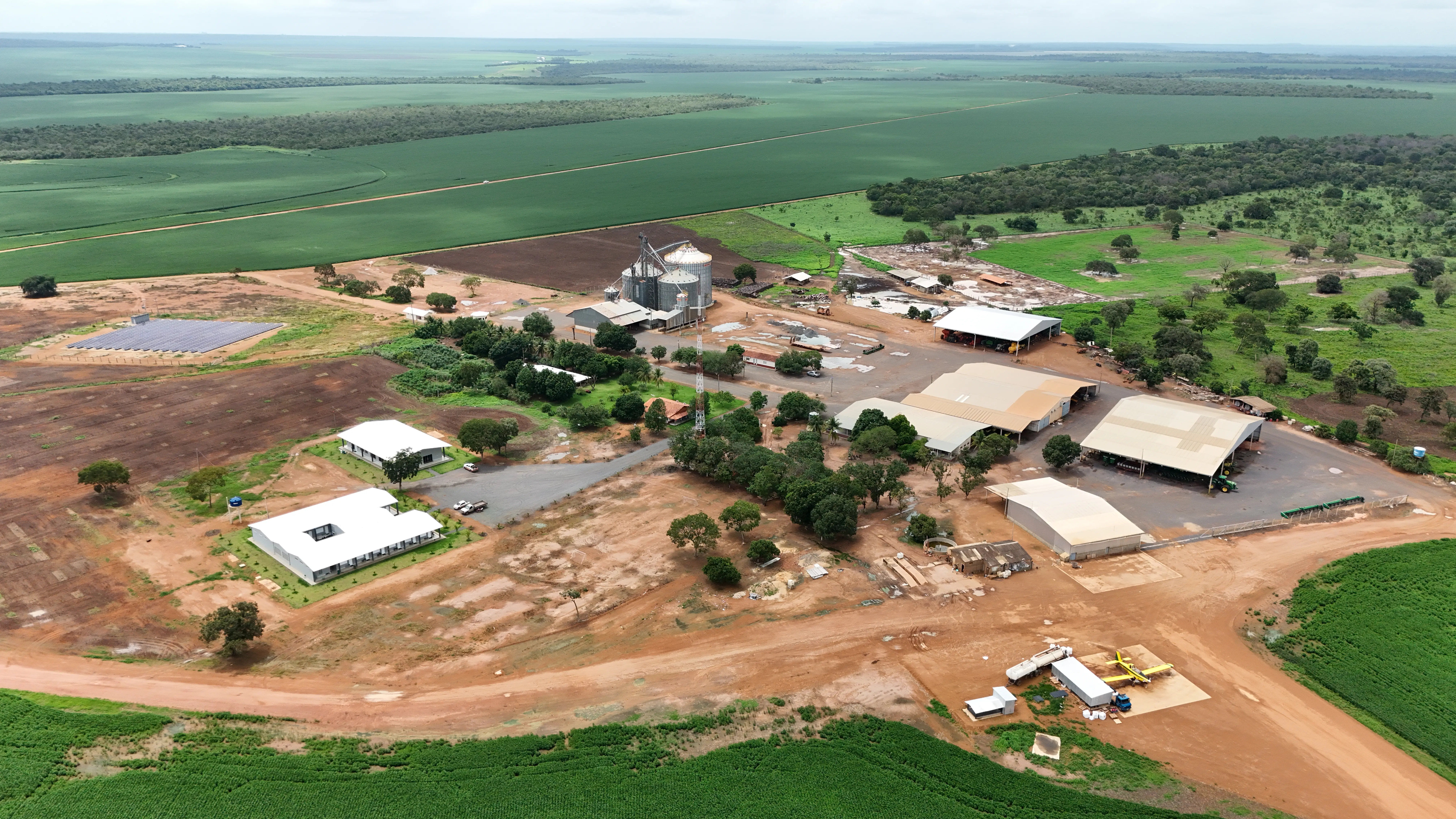 Crescimento do Grupo